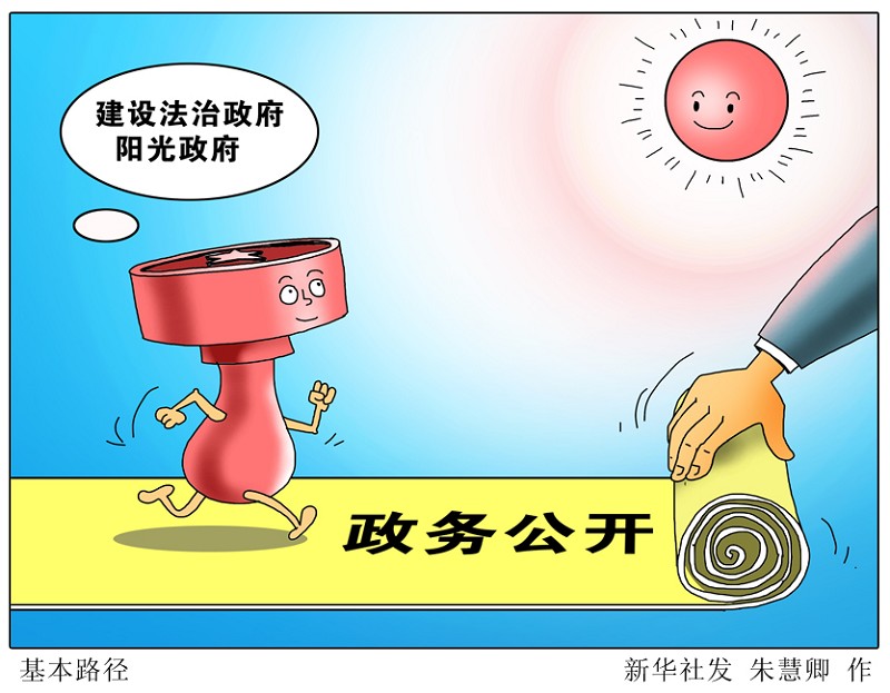 中共中央办公厅 国务院办公厅关于进一步推行政务公开的意见