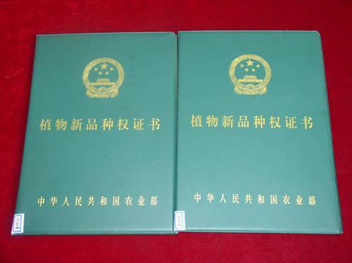 植物新品种保护条例