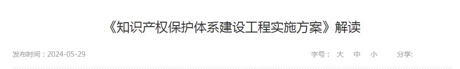 《知识产权保护体系建设工程实施方案》解读